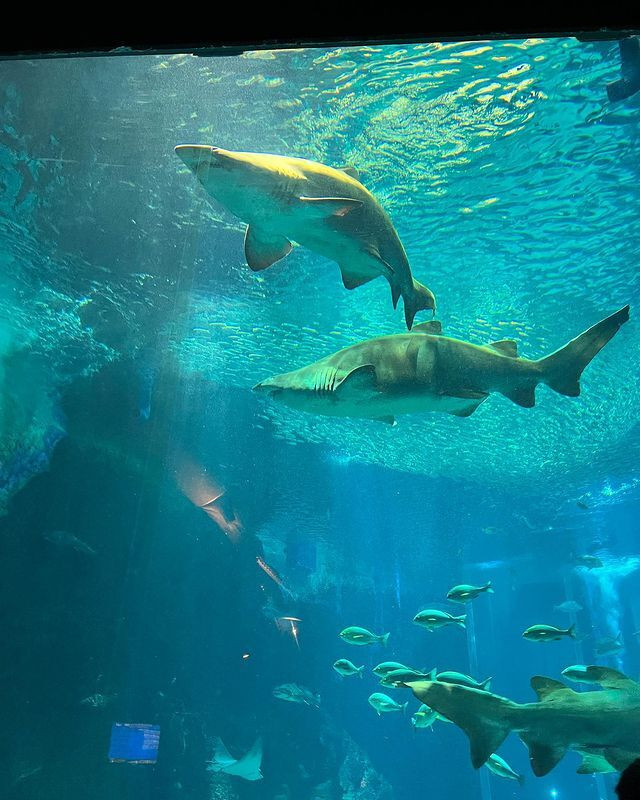 chihiro_s.k.rさんの写真 / 2