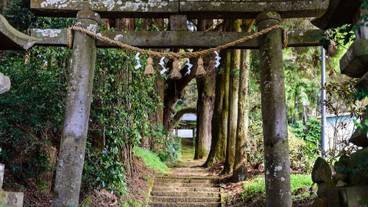 シティ ビュー / 13