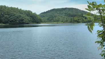 施設の敷地 / 18