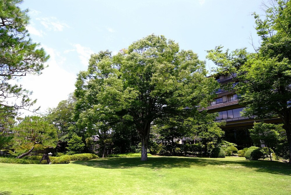 庭園2