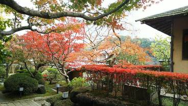 施設からの眺望 / 11