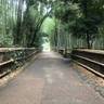 izm_ismさんの写真