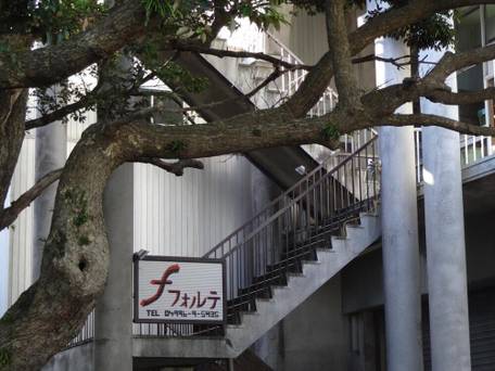 フォルテ（八丈島） / 4