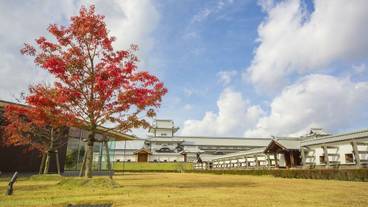 観光スポット / 12