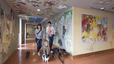 内装の詳細 / 12