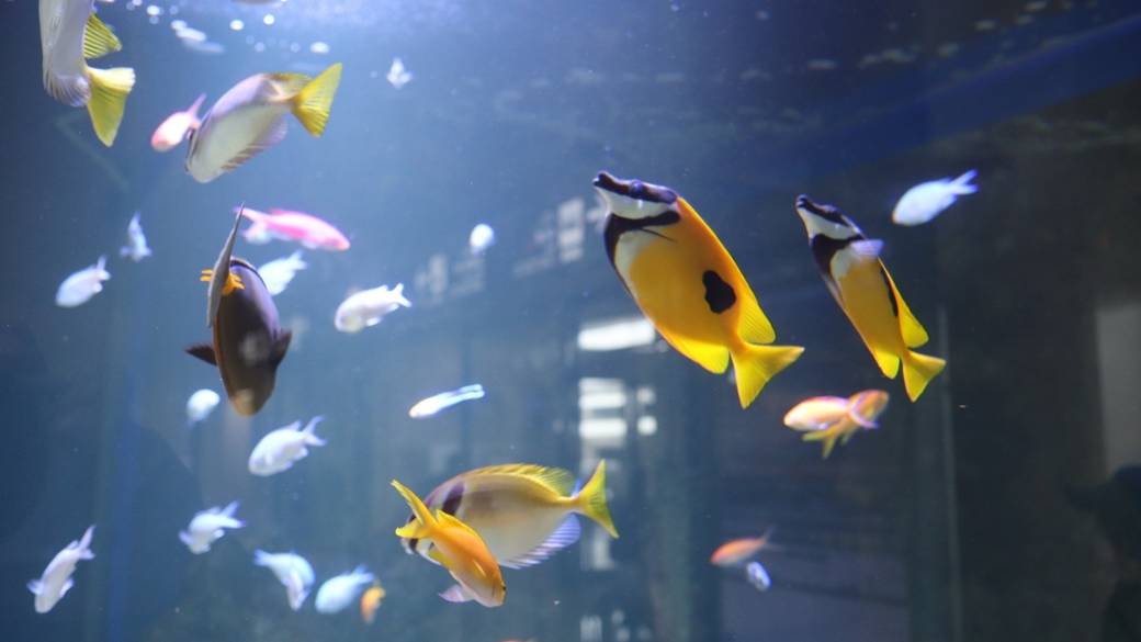 那覇空港に到着
荷物を預けて身軽に / 3