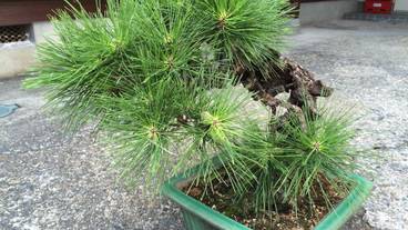 施設の敷地 / 20