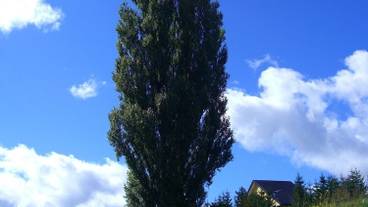 施設からの眺望 / 7