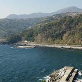 ペットと泊まれる温泉付貸別荘 エンゼルフォレスト伊豆高原(赤沢望洋台)(静岡県 コテージ・ロッジ・一棟貸) / 2