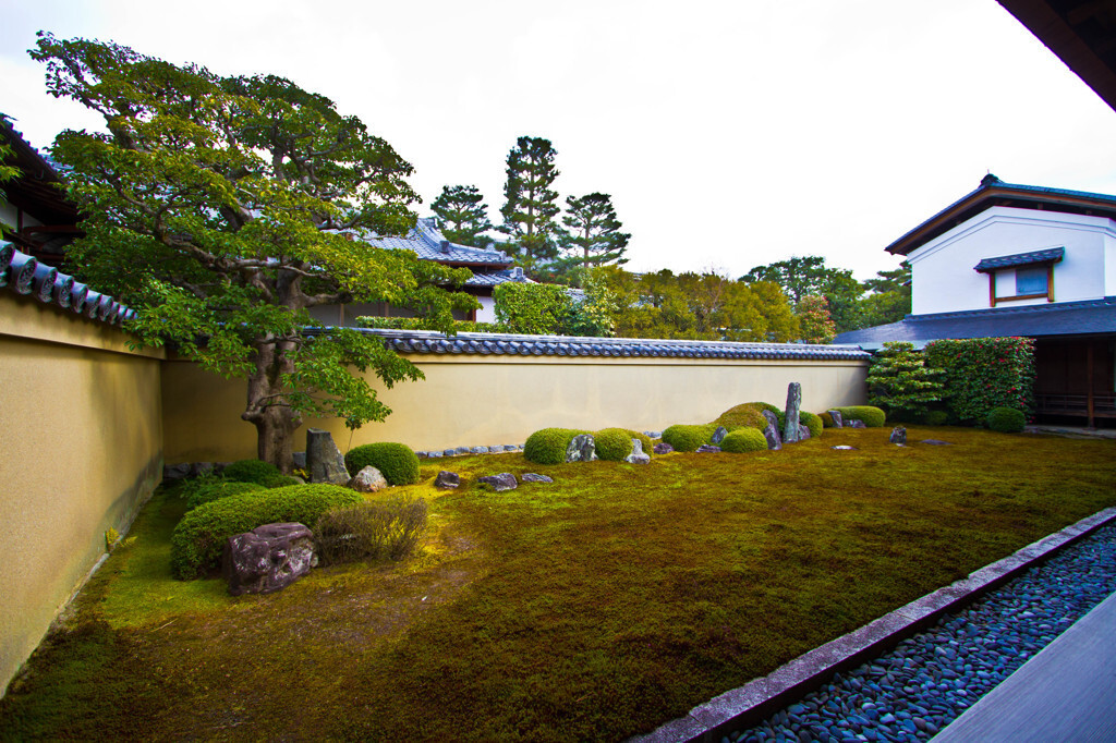 室町時代の須弥山式庭園　「龍吟庭」1023849