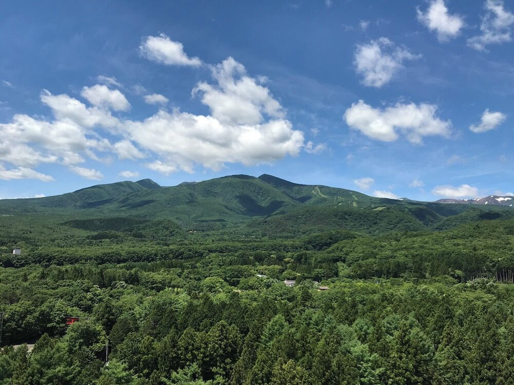 部屋からの景観