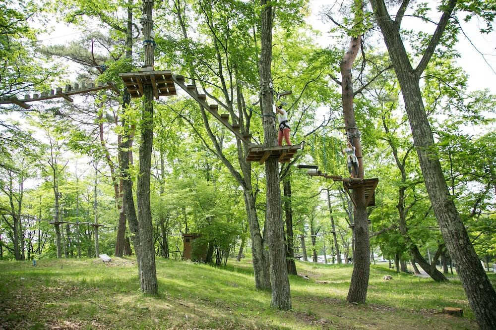 アウトドアもショッピングもグルメも大満足！3432479