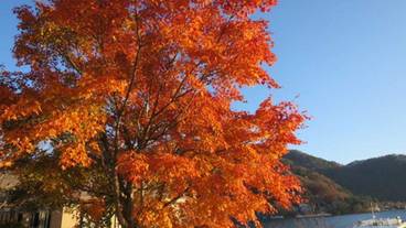 施設からの眺望 / 13