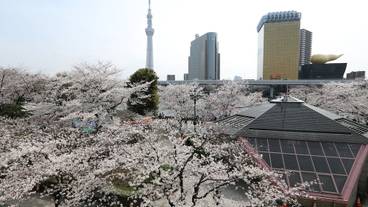 施設からの眺望 / 7