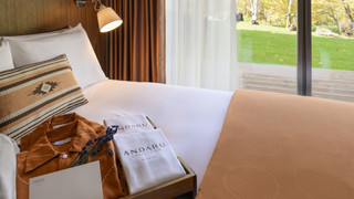 ラグジュアリー ヴィラ (15時チェックイン-10時チェックアウト)ご到着日15時からご出発日10時までご滞在(1室4名様でご利用の場合、リビングにエキストラベッド1台をご用意いたします)