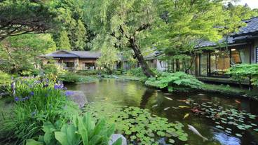 ガーデン ビュー / 19