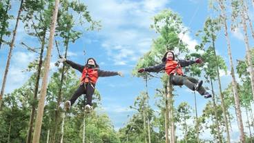 エコツアー / 16