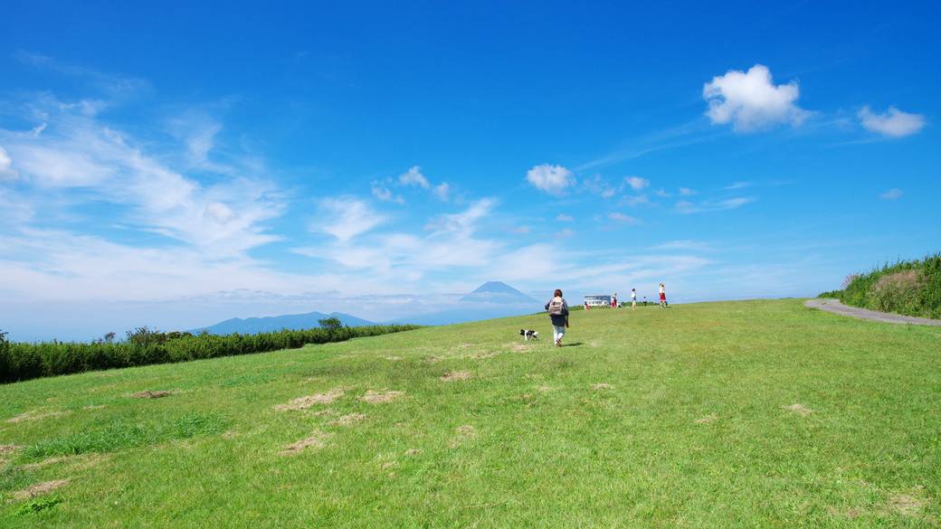 のびのび遊べる
十国峠へ / 1