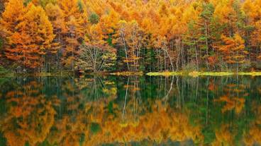 観光スポット / 6