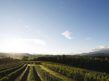 リゾナーレ八ヶ岳（山梨県）4247592