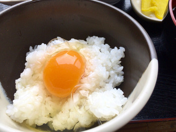 「食堂かめっち。」料理 1013210 