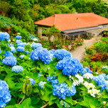 沖縄女子旅なら、“古民家ステイ”で癒しの時間を。 おすすめ一棟貸の宿6選