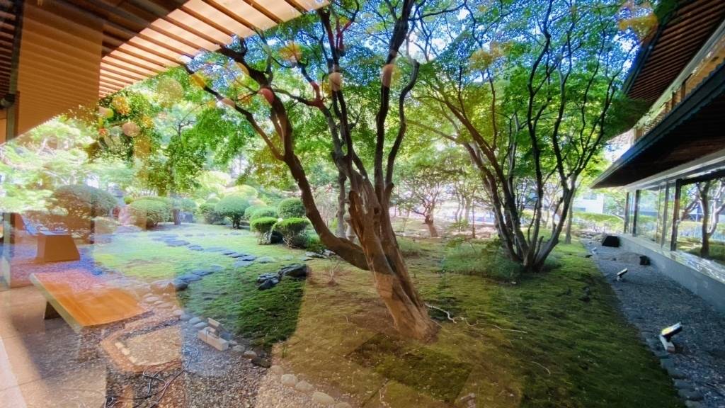 ラウンジから見える庭園 / 2