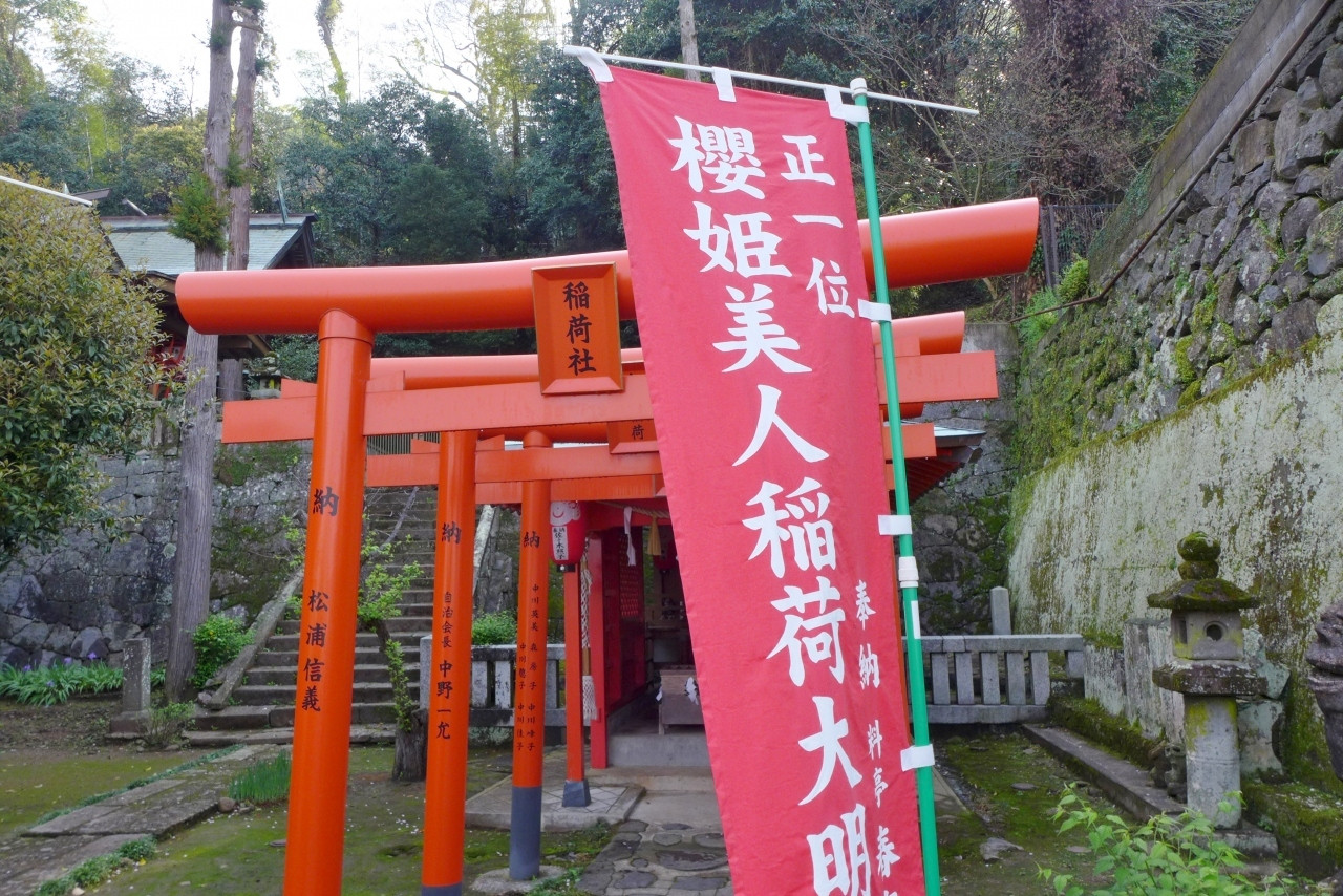 1. 美人祈願できる？「櫻姫美人稲荷（さくらひめびじんいなり）」2997125