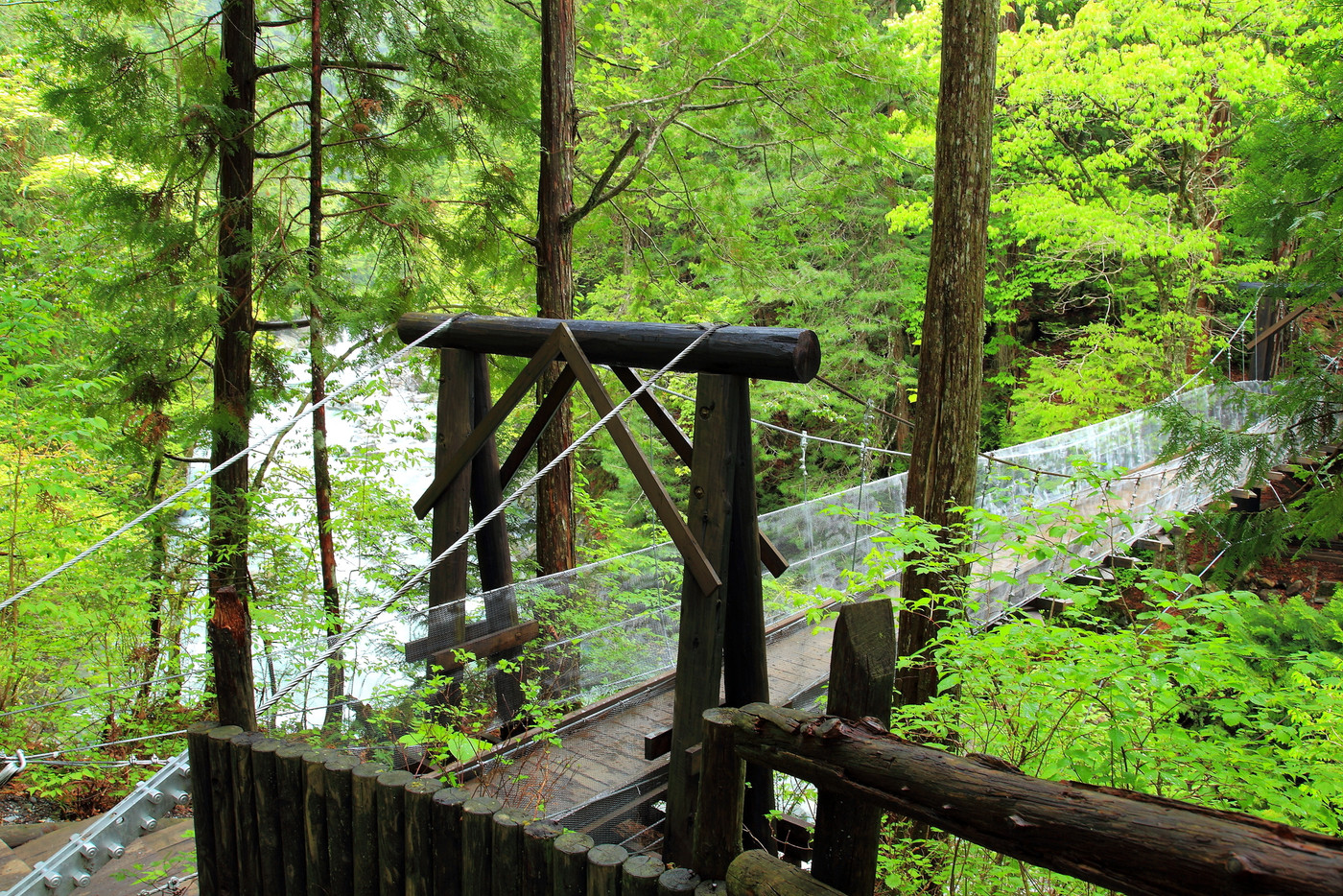 エメラルドグリーンの流れ　阿寺渓谷