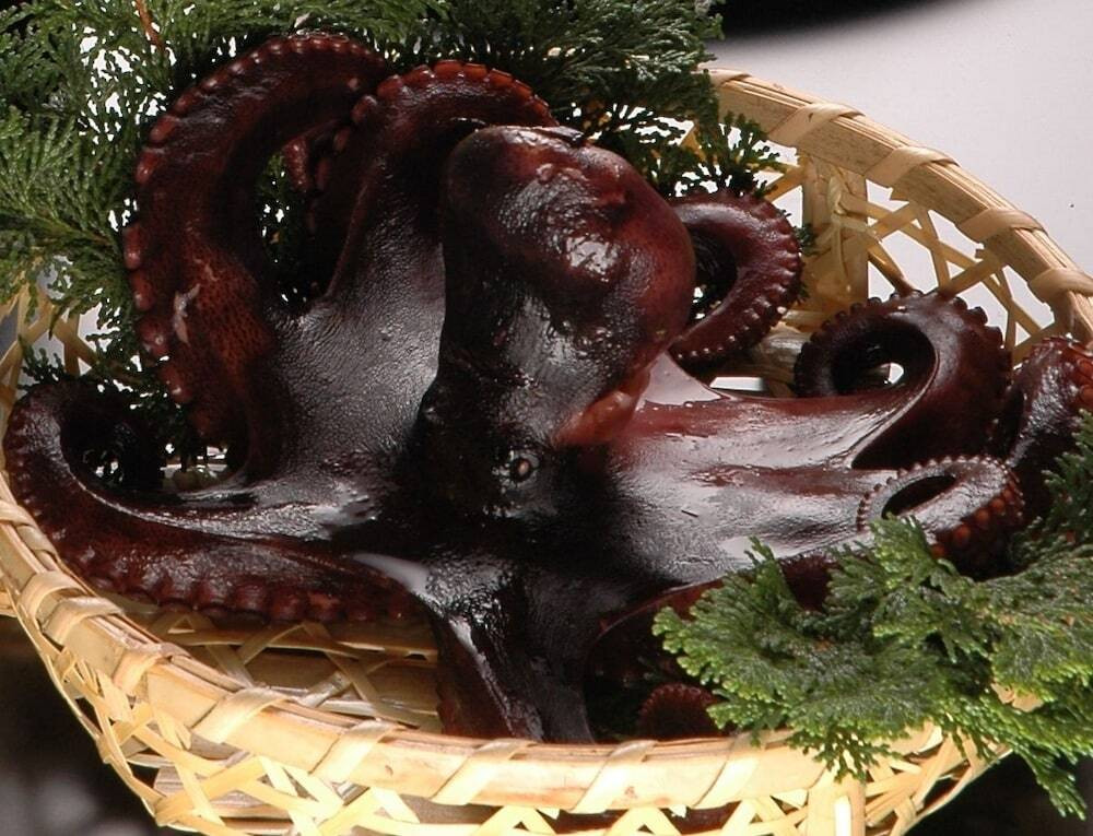 食事・飲み物