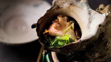 食事・飲み物 / 11