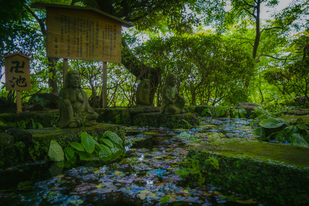 かわいらしいお地蔵様がたくさん！癒し要素がたっぷりのお寺。2256555