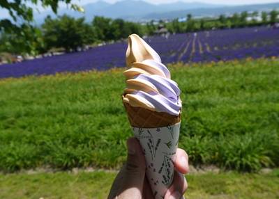 ファーム富田