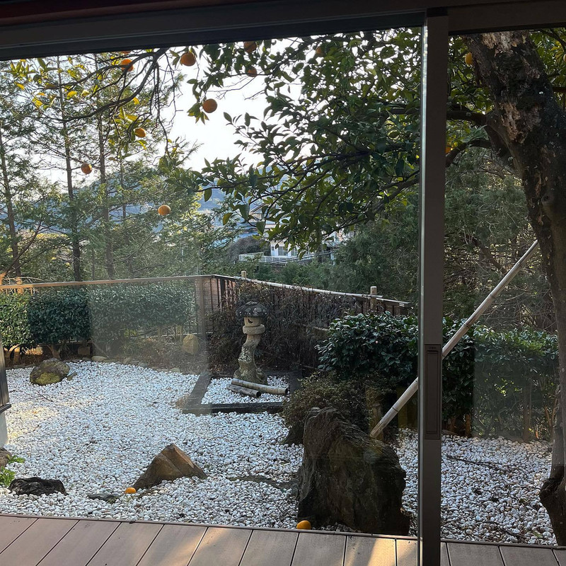 alwmzl_11さんの写真 / 2