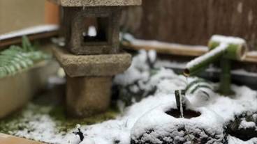 建物のデザイン / 15