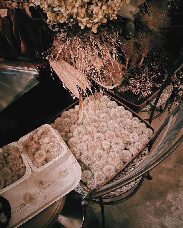 lanavenderさんの写真 / 3