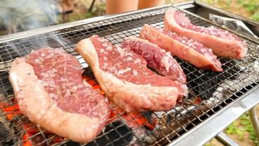 バーベキュー / ピクニック エリア / 31