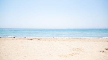 観光スポット / 18