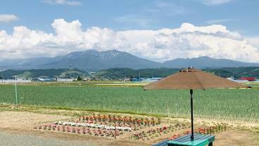 施設の敷地 / 17