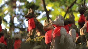 観光スポット / 5