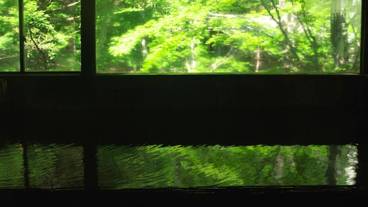 大浴場　内湯③ / 6