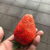 道の駅 なら歴史芸術文化村（ミチノエキナラレキシゲイジュツブンカムラ）