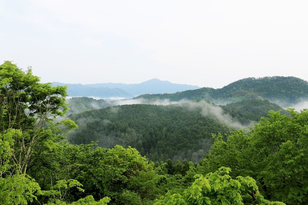 マウンテン ビュー