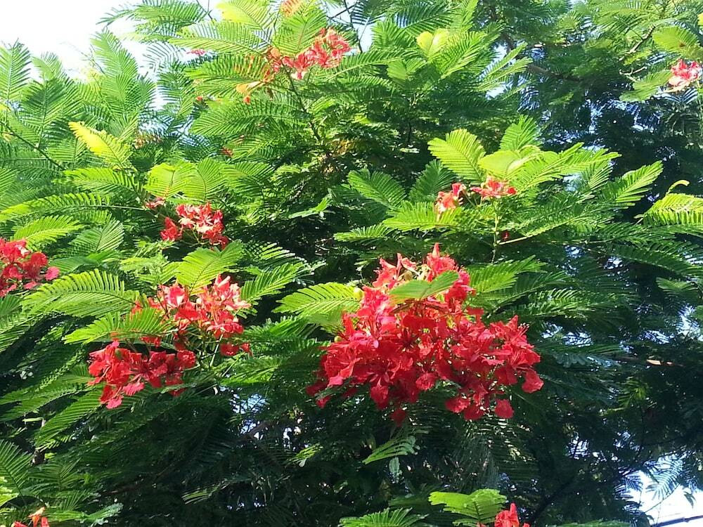 施設からの眺望