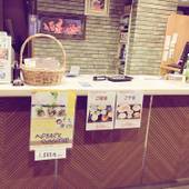 ホテルテトラ八戸（旧：ホテル オーシタ）（青森県 ビジネスホテル） / 3