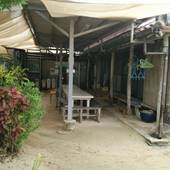 民宿 小浜荘（竹富島）（沖縄県 民宿） / 3