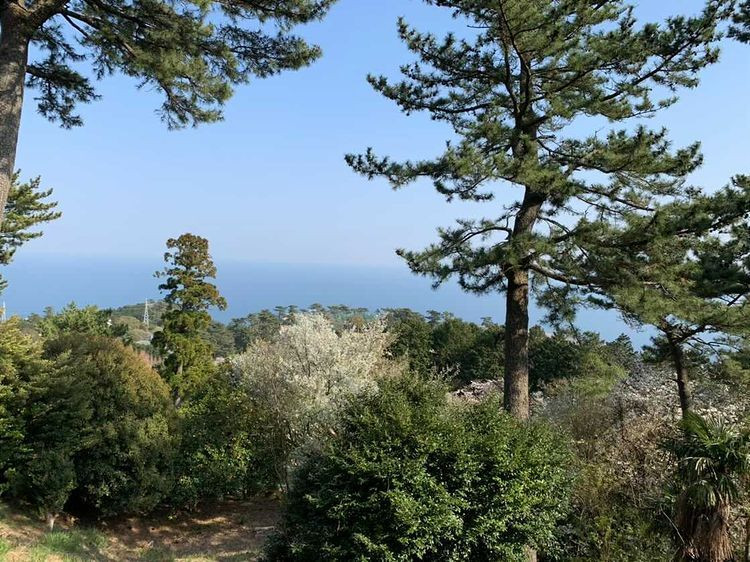 beru_stagramさんの写真 / 3