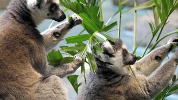 観光スポット / 7