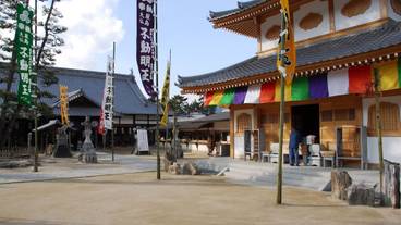 施設からの眺望 / 27