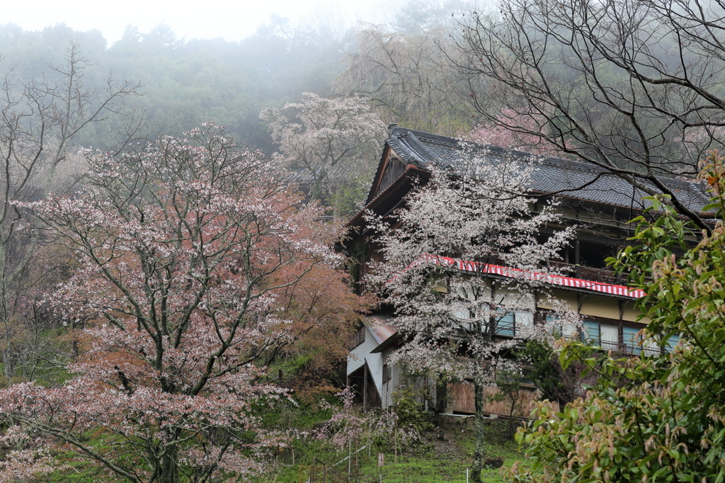 如意輪寺1071081
